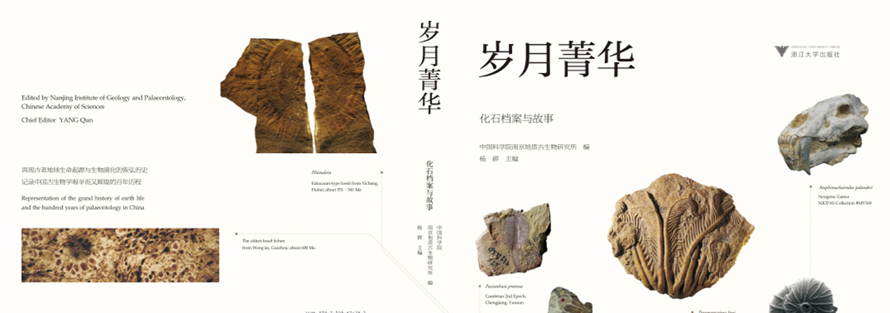 香港宝典全年资料大全